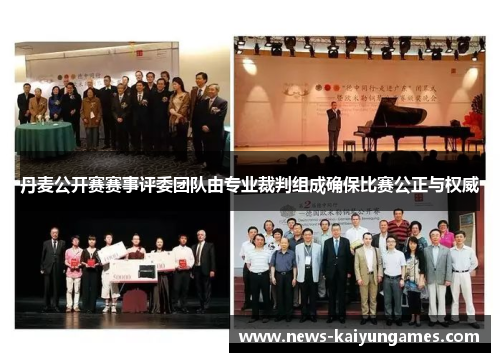 丹麦公开赛赛事评委团队由专业裁判组成确保比赛公正与权威