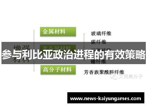 参与利比亚政治进程的有效策略